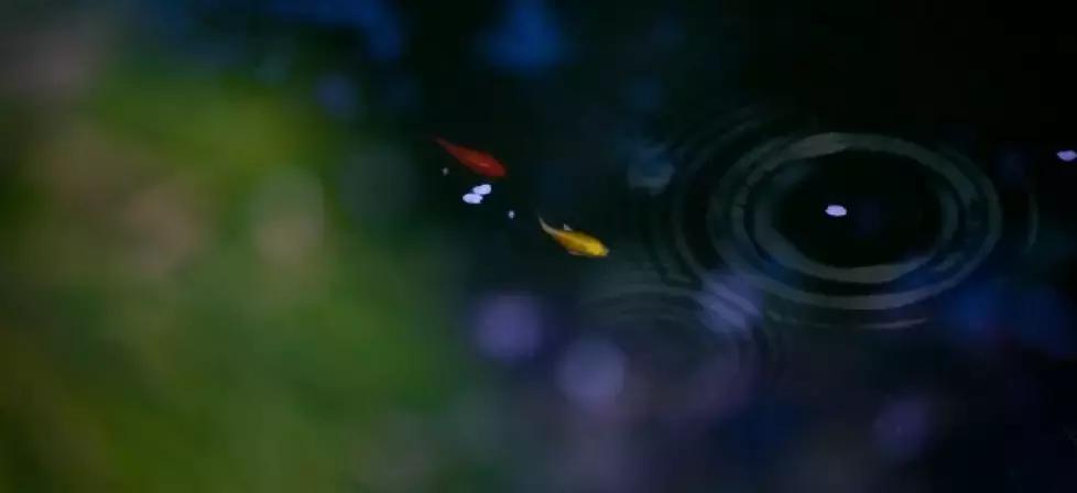 一日慎独则心安日日精进,日日精进人生