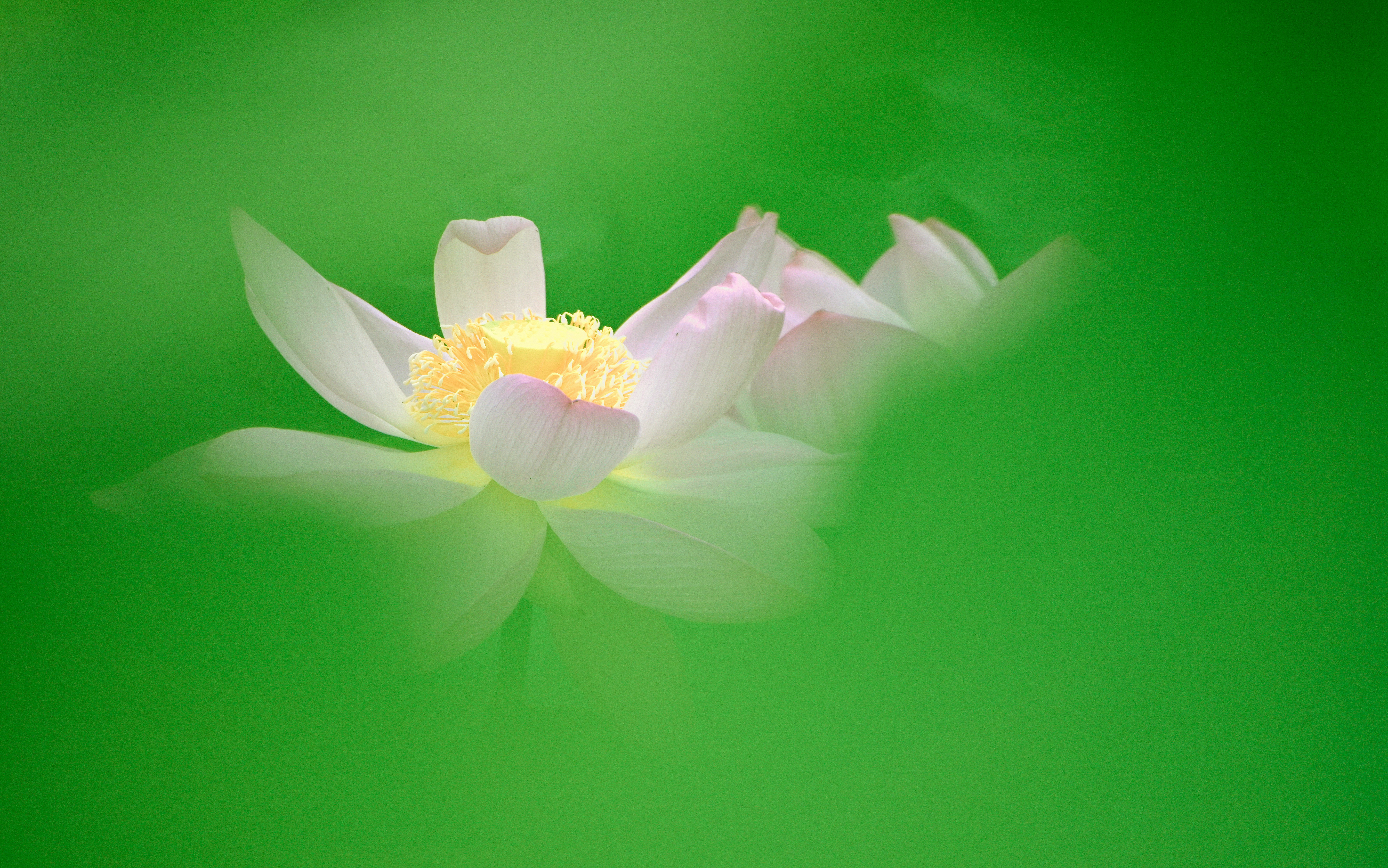 我与尼康北京行,尼康70-300mmf4.5-5.6g画质