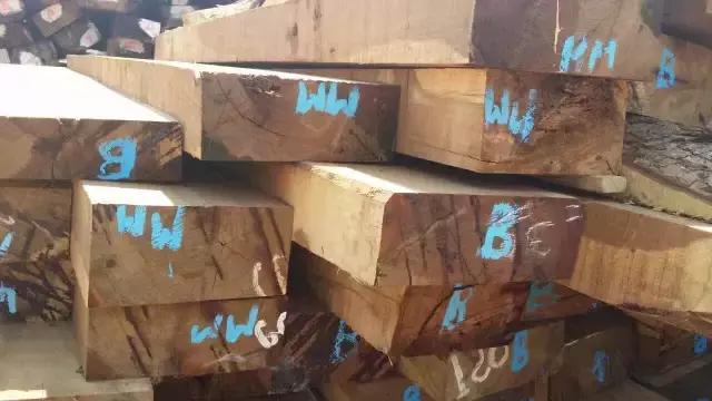 明清时期最受欢迎的7种红木用材,红木用材特征分类标准有哪些