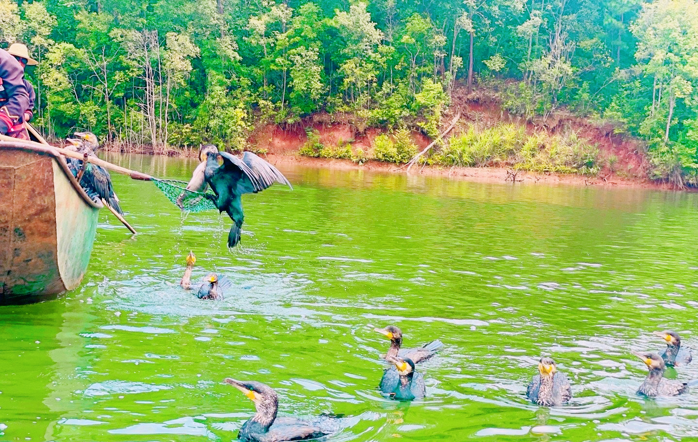 云南小城普洱，生活节奏慢得像诗，冬暖夏凉物价低适合养老