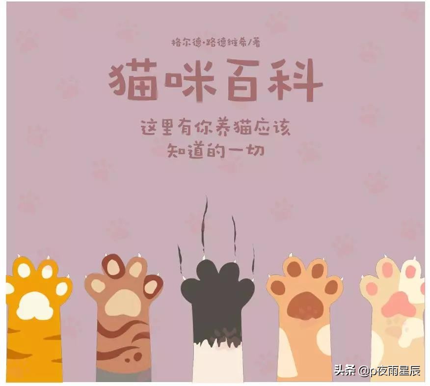 图片像素没了怎么办,图片像素不好怎么用ps处理