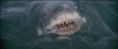 无敌破坏王2终极彩蛋解析,无敌破坏王2彩蛋鞋子