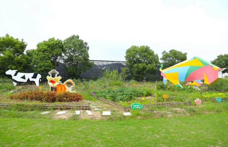 久居城市就会向往乡村的田园生活,向往的田园生活的感悟