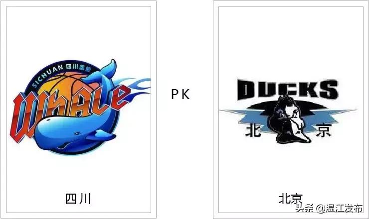 四川男篮cba2024赛季,四川男篮cba赛场