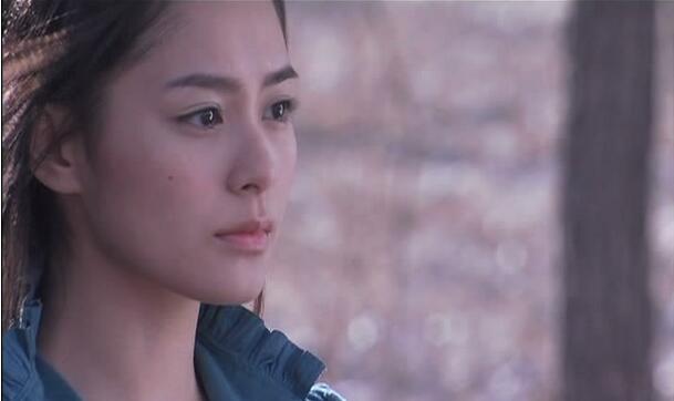 她是飞狐外传真正的主角，冰雪聪明，却因貌丑而得不到爱情