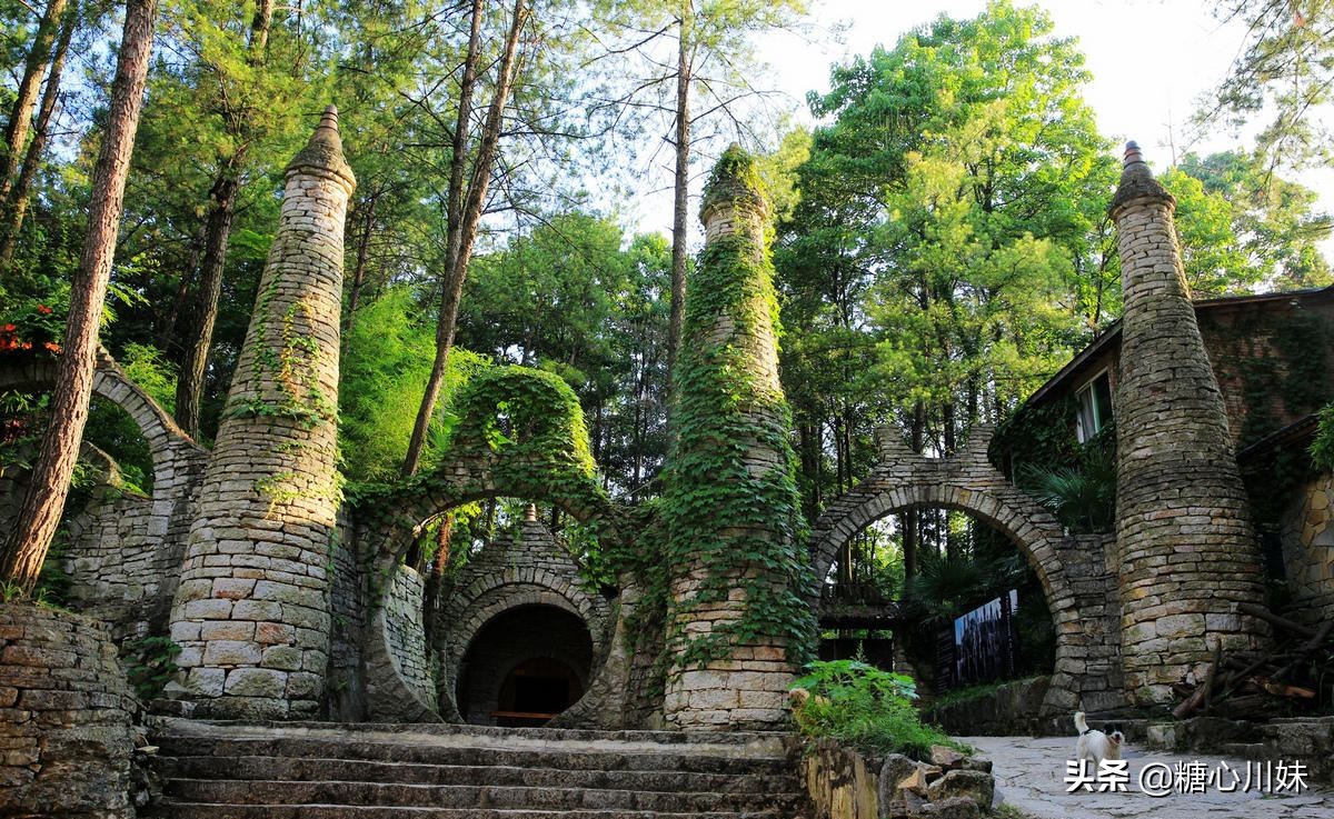 贵州有个80岁老人借款300万,贵州80岁老人借了300万