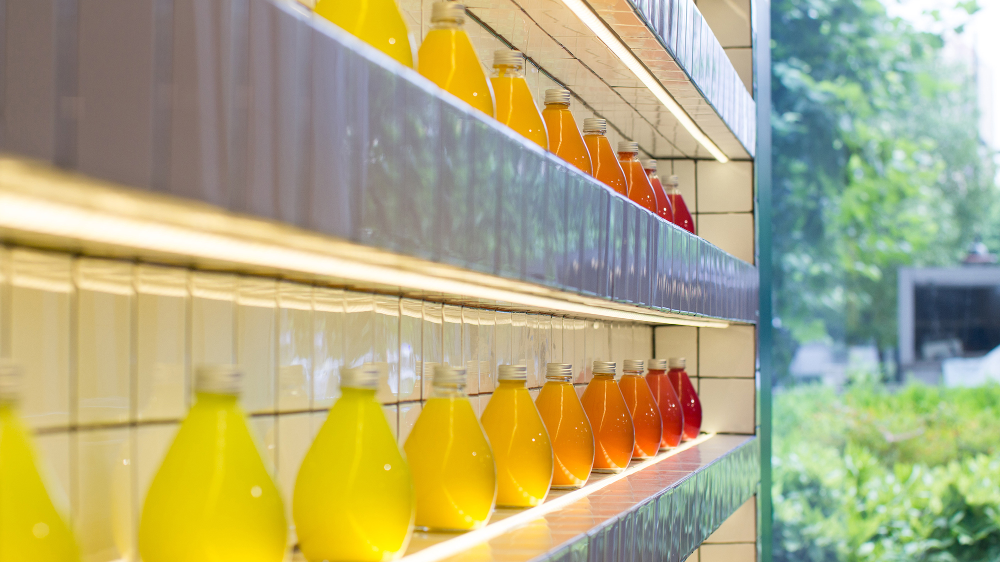 我们的办公大楼像园林一样美,我们在办公楼里建造了什么