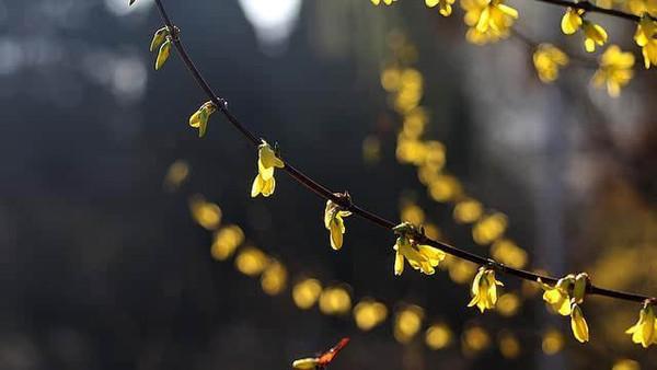 一个很自私的人是什么心态,自私的人十种表现