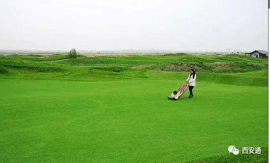 西安房子南郊还是北郊好,西安雁塔区属于南郊还是北郊