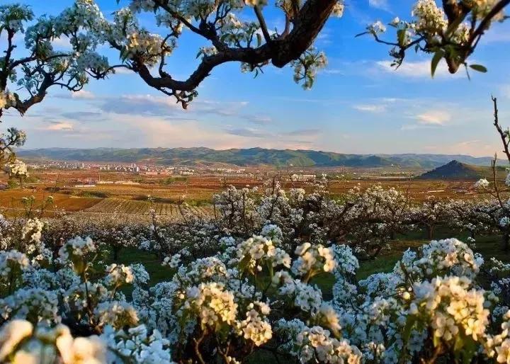 这个吉林特产，贼解秋燥！