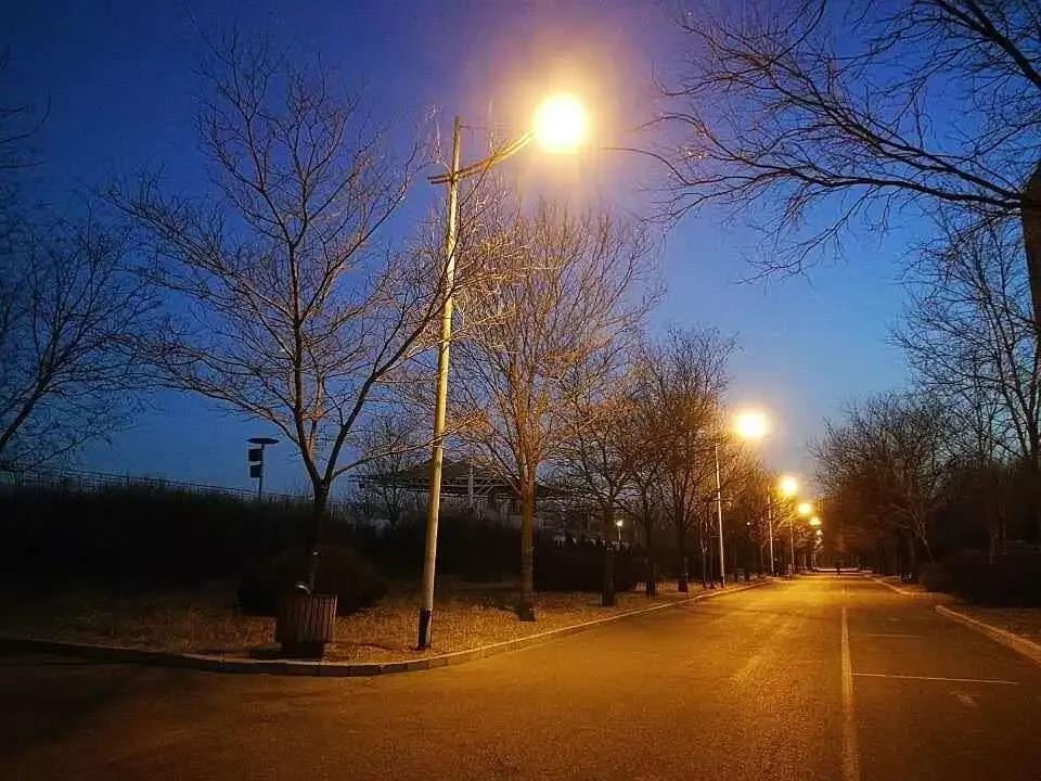 辽宁省普通高等院校,辽宁省沈阳本科大学