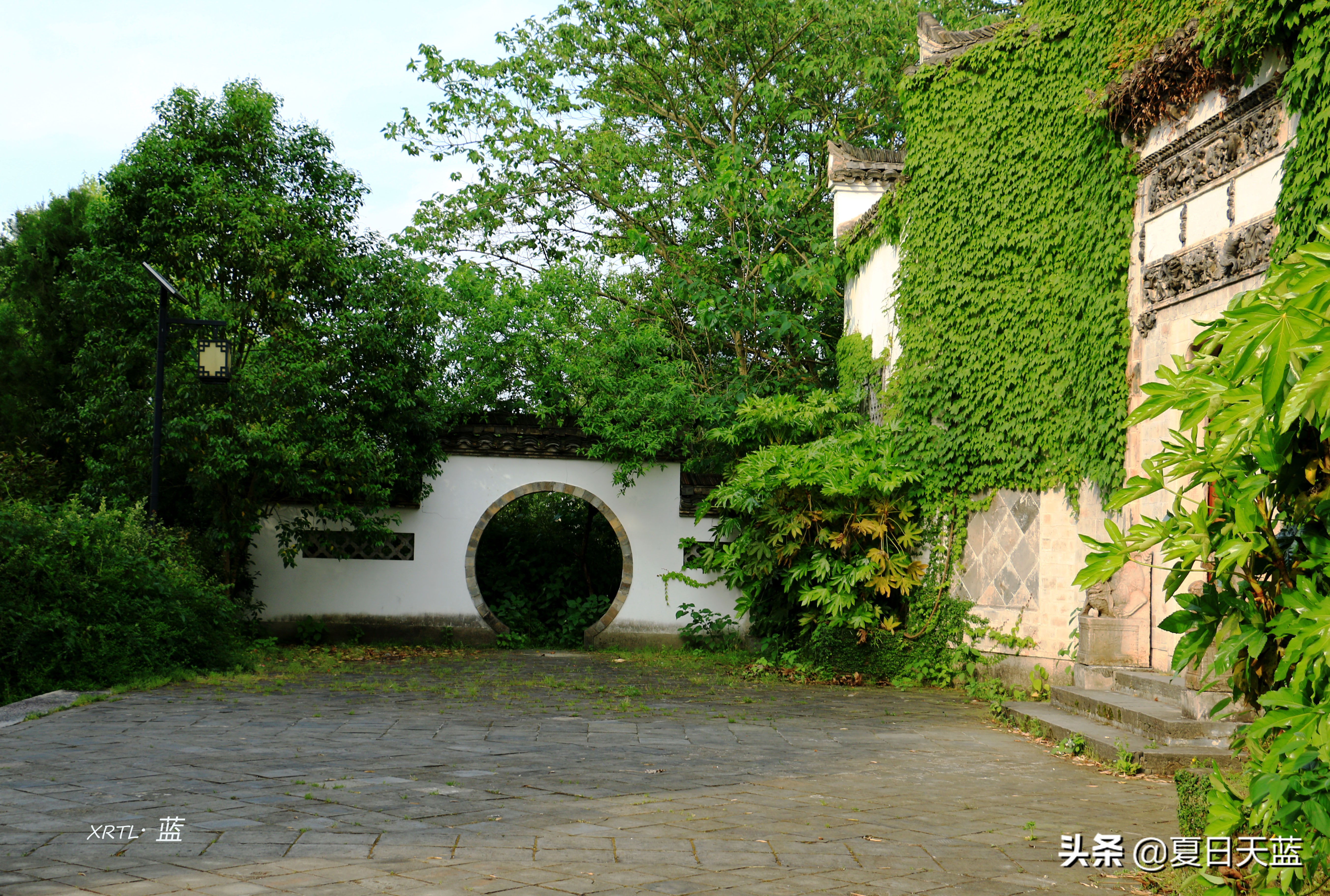 李白在桃花潭写的千古名句,桃花潭因李白而出名的诗句