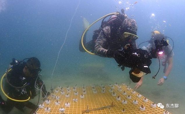 海缸np必须双零吗,海缸翻缸需要重新爆藻吗
