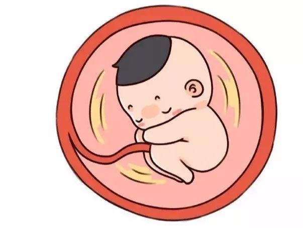 孕期重要小知识妈妈们快看看,孕期准妈妈们一定要知道的小知识