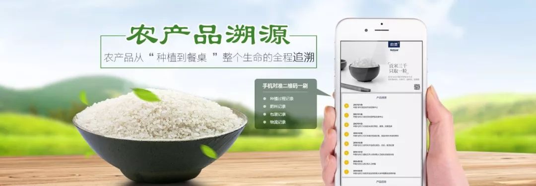 未来最具有前景的创业行业,未来创业前景最好的十大项目