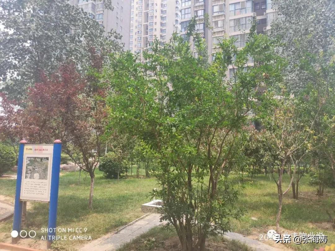 赞！旧貌换新颜，只因小区有了业主大会