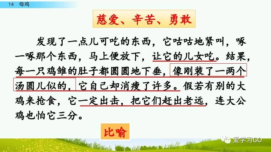 部编版四年级下册15课白鹅解析,部编版四下语文第13课母鸡预习