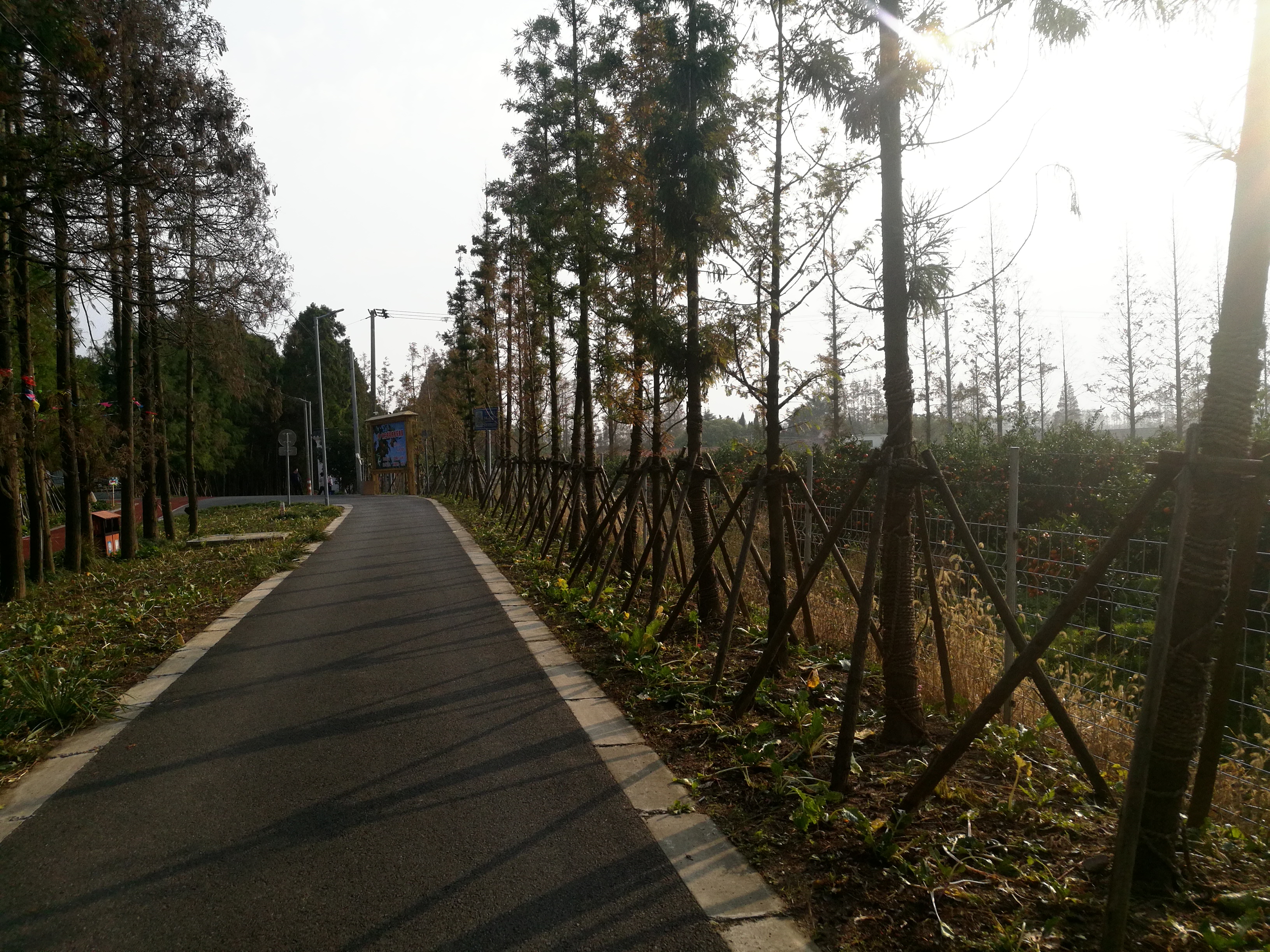 上海崇明岛郊野公园扩建工作,崇明长兴岛公园规划