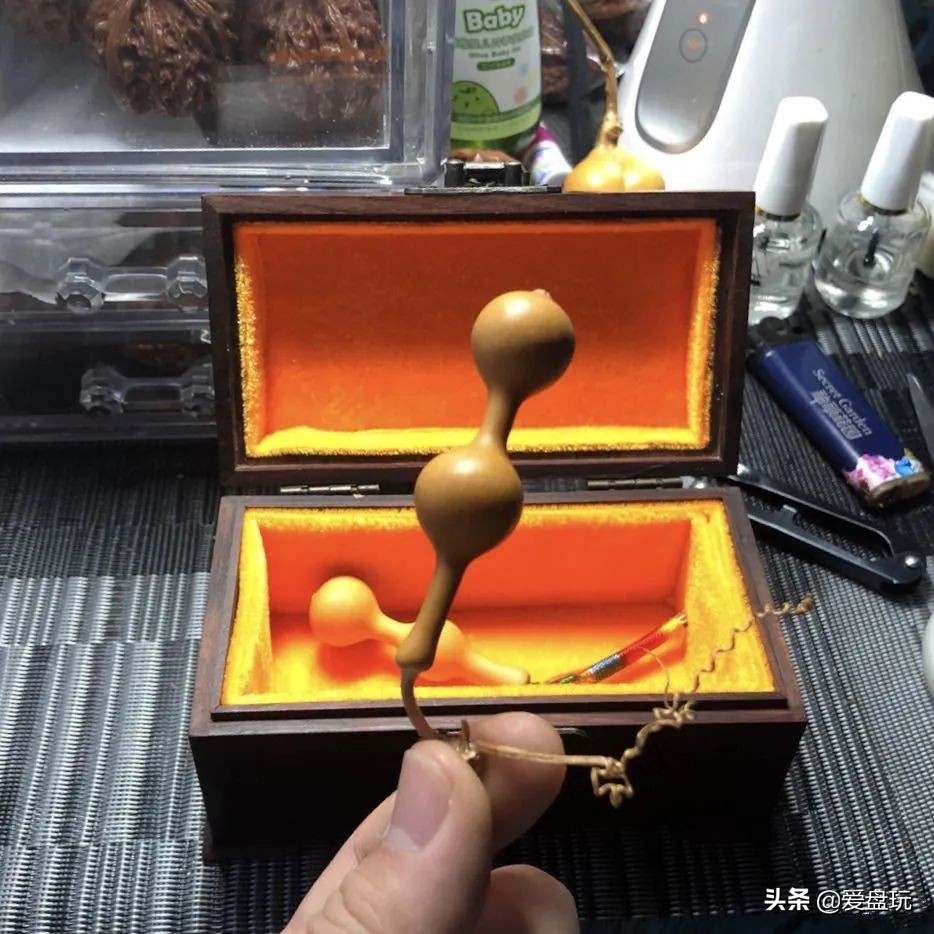 一把葫芦卖到上千上万，连种子都“千金难求”