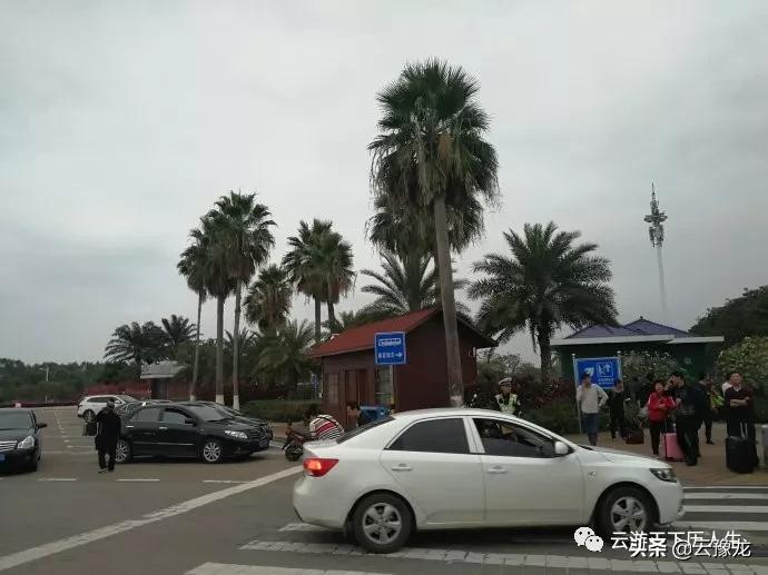 从湛江到海口火车,湛江到海口火车过海视频