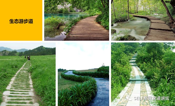 新疆天山世界文化遗产,天山为什么被入选为世界自然遗产