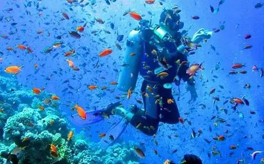 全球惊艳的10个海底世界，看到第一个就想出发！