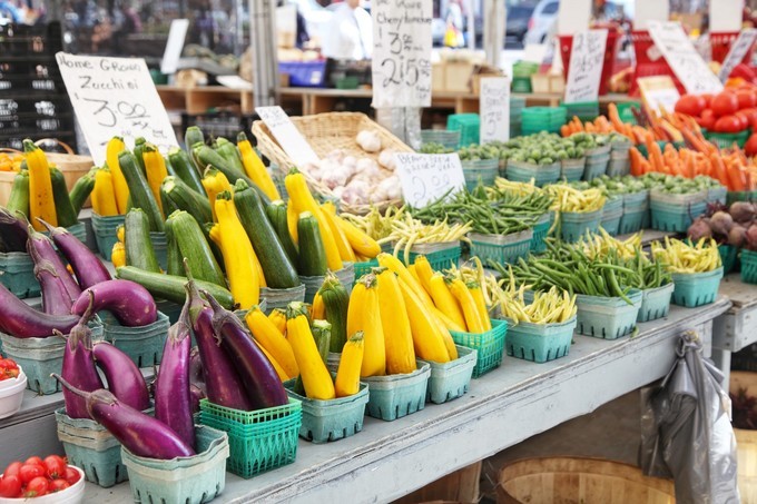 「怀念系列」加拿大（5）｜品尝奥巴马同款枫叶糖