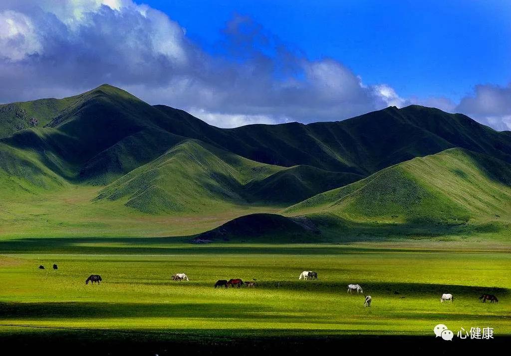 西藏高原反应,去西藏高原反应怎么办吃什么药