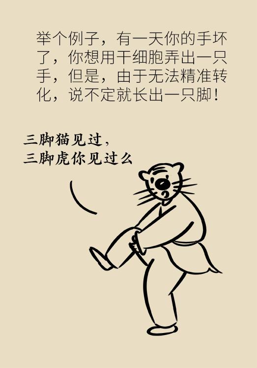 干细胞美容抗衰老原理骗局,干细胞注射抗衰老真的靠谱吗