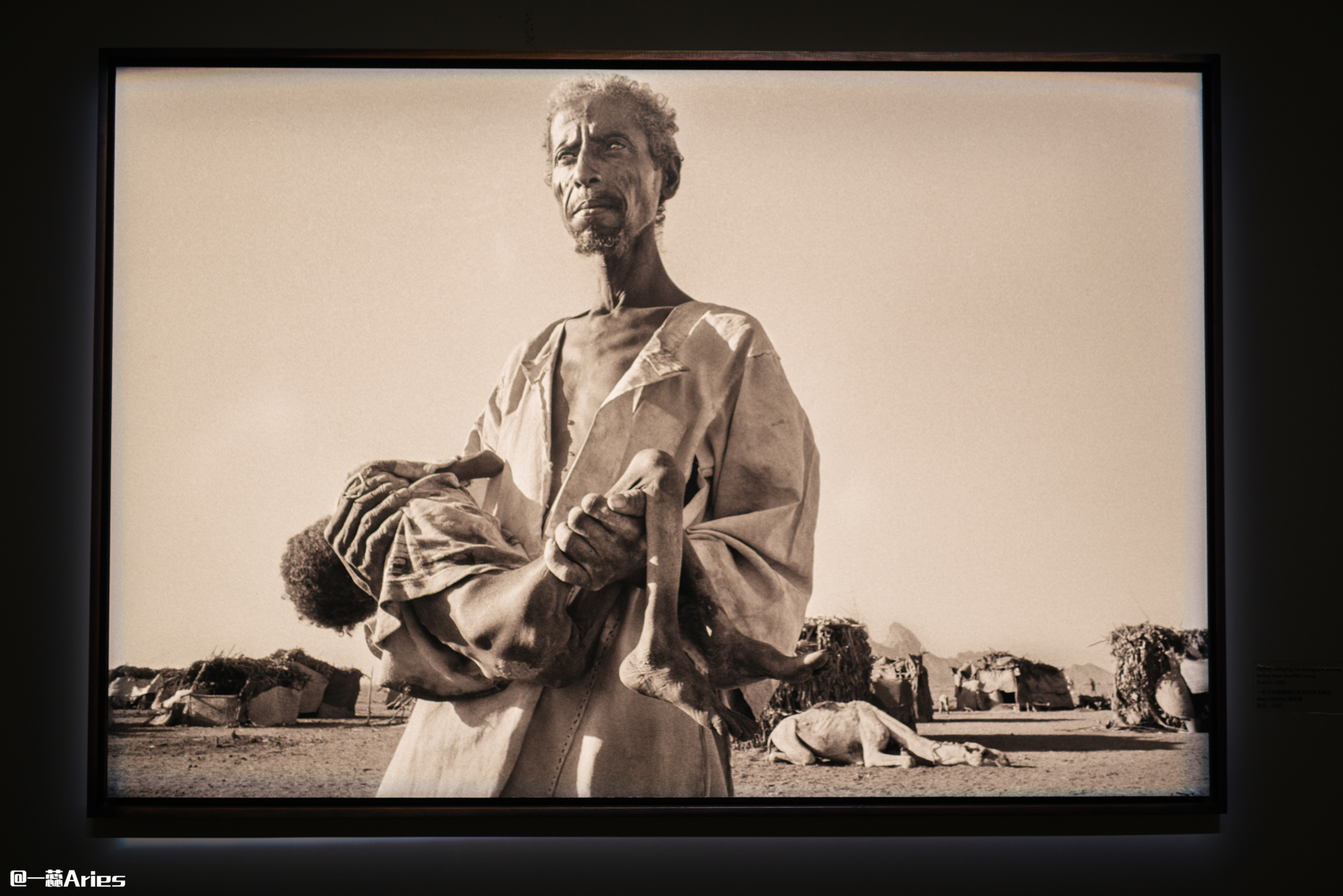 成都小众旅游地方推荐,成都小众景点推荐