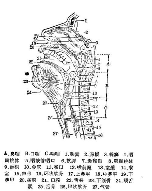 唱歌解决喉音的最佳方法,唱歌如何解决大白嗓问题