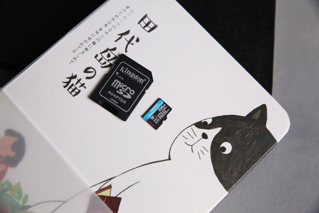 gopro金士顿和闪迪哪个好,gopro能用金士顿的内存卡