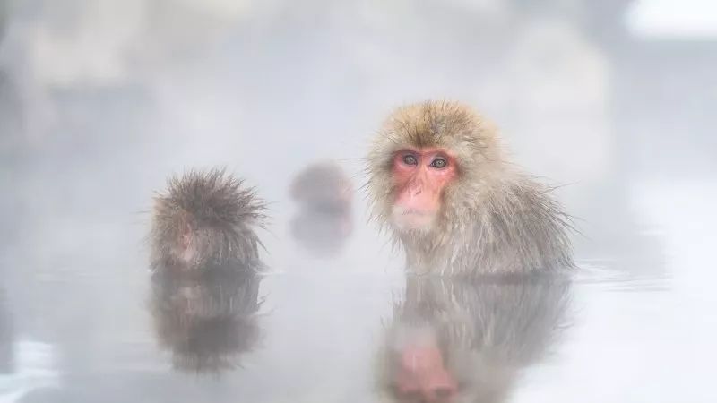 太原冬天去哪儿玩,天津冬天去哪儿玩