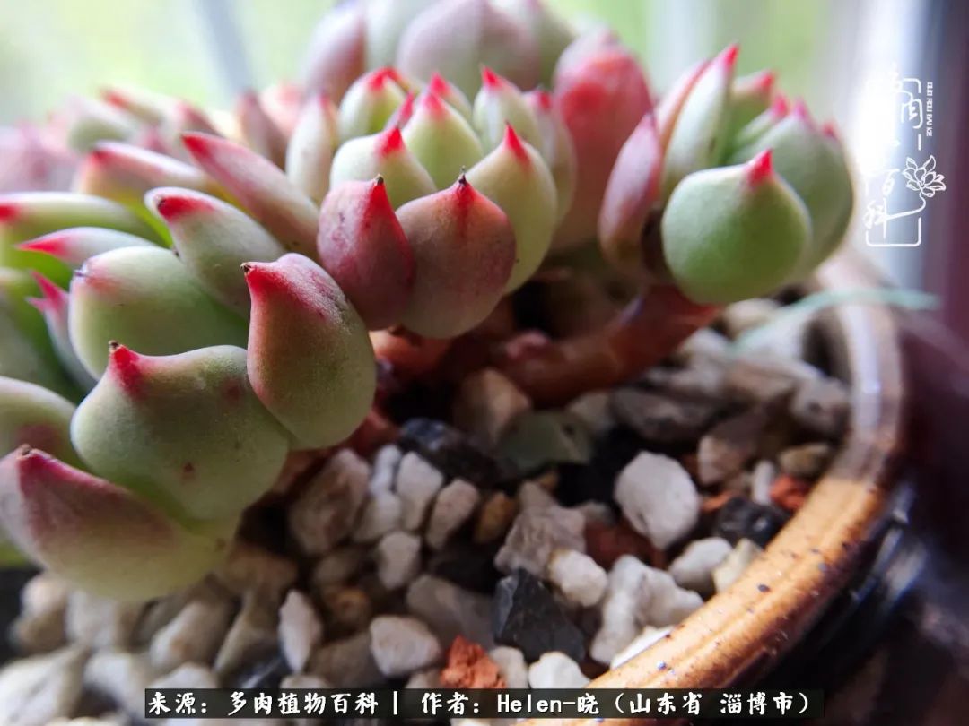 人到中年温暖如初,人到中年岁月静好