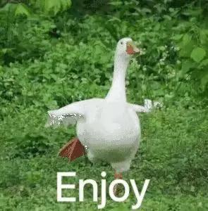 泫雅小野马2019,小野马泫雅街拍