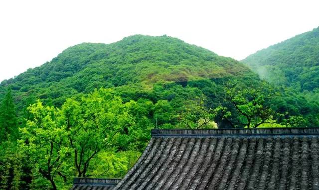 枯山水庭院景观制作过程,庭院枯山水施工做法