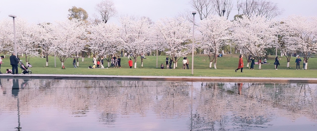 这是高晓松送给杭州的礼物，实名羡慕杭州市民!