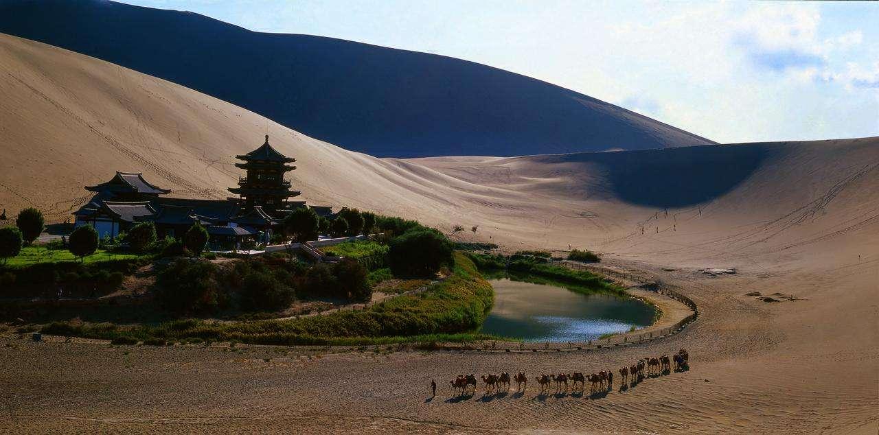 我滴个乖乖!甘肃竟然有这么多的世界珍贵动物