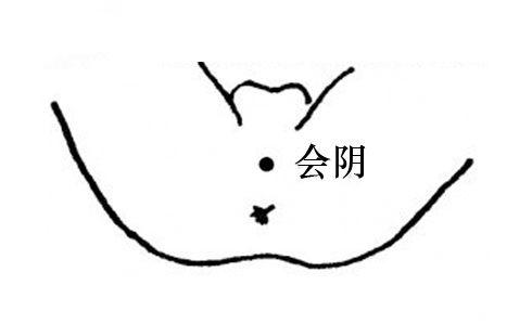 督脉“合篡间,绕篡后”是什么意思?