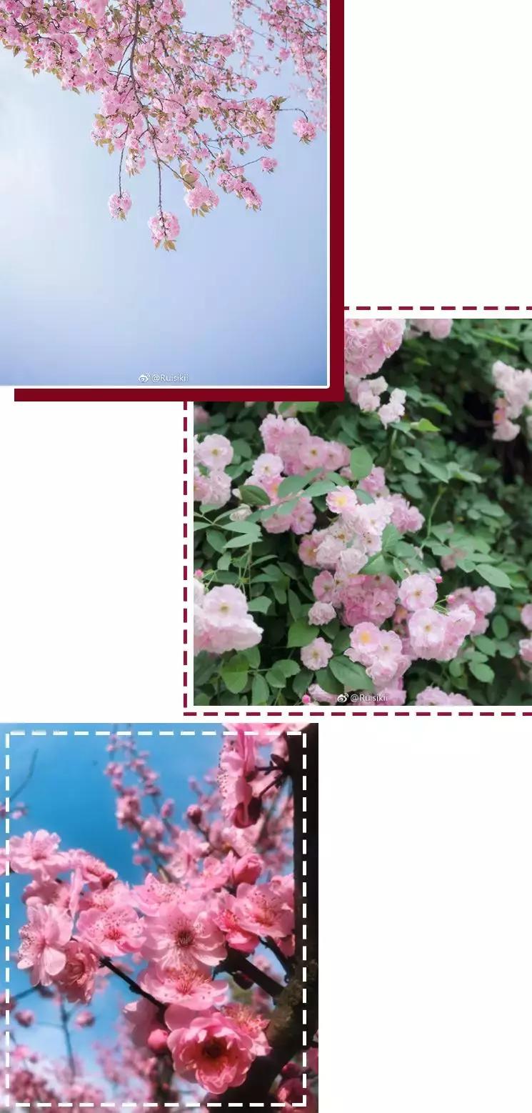 开春口红,开春口红色号