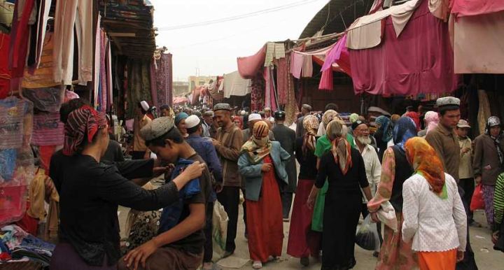 人类文化发展简史,人类简史经济起源