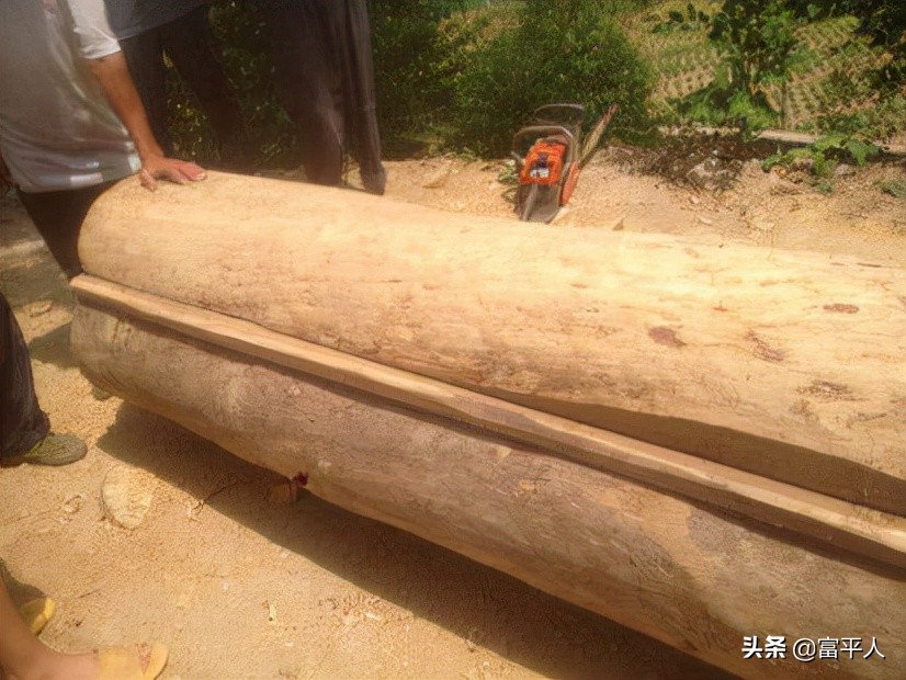 什么是割谷,什么是割稻