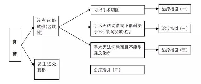 食管癌诊疗规范（2018年版）