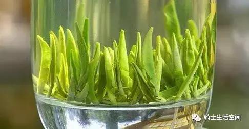 骑士说茶:峨眉山中的绿色精灵——竹叶青