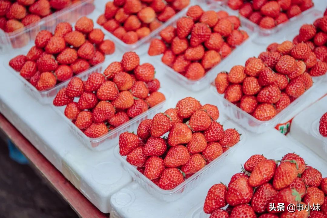 城南家园推荐,性价比高的城南家园