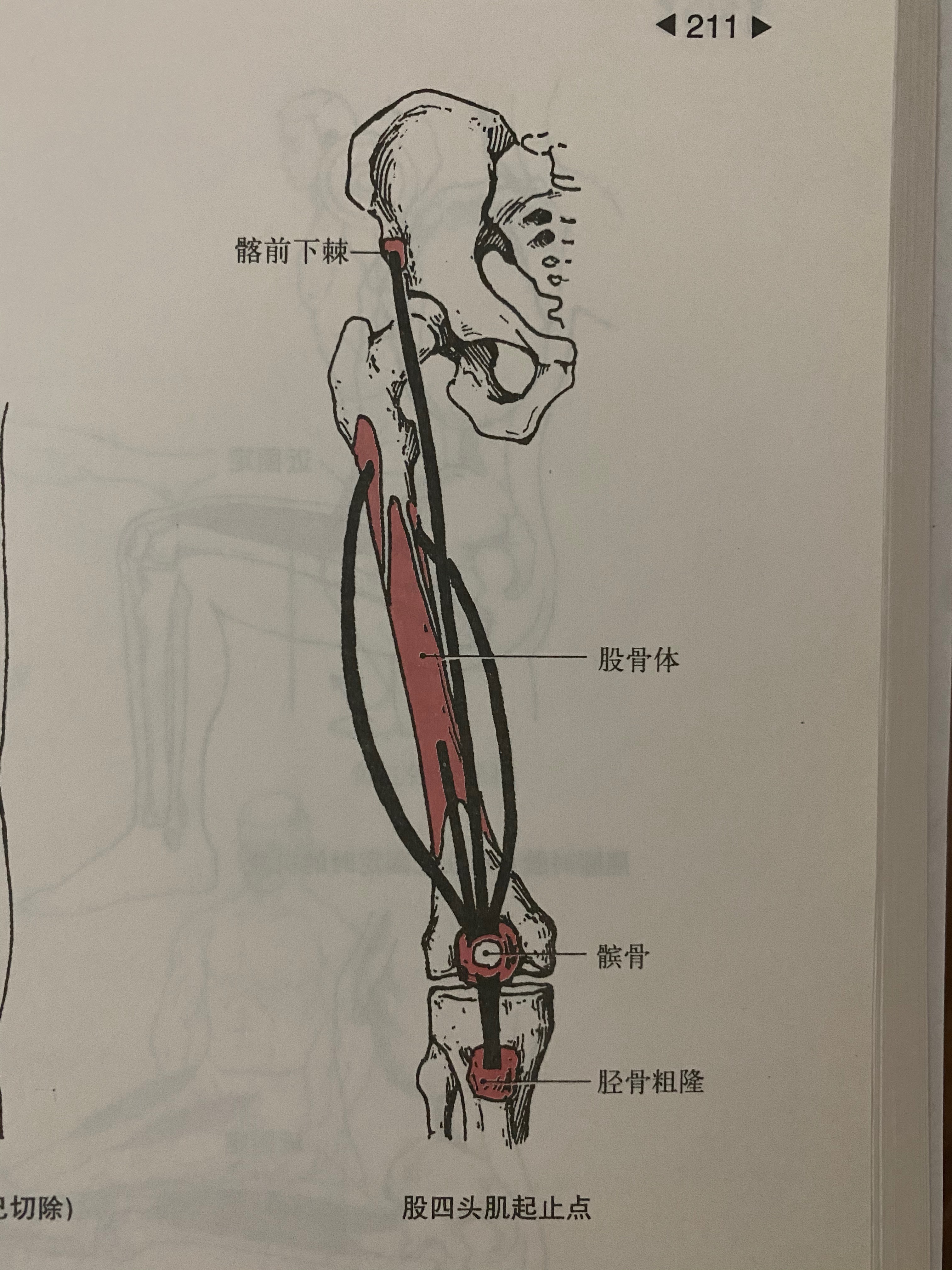 跳绳膝盖疼用什么方法缓解,刚开始跳绳膝盖疼还要坚持跳绳吗