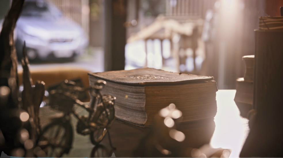 《但是还有书籍》：快时代里，人唯一可以随身携带的避难所与花园