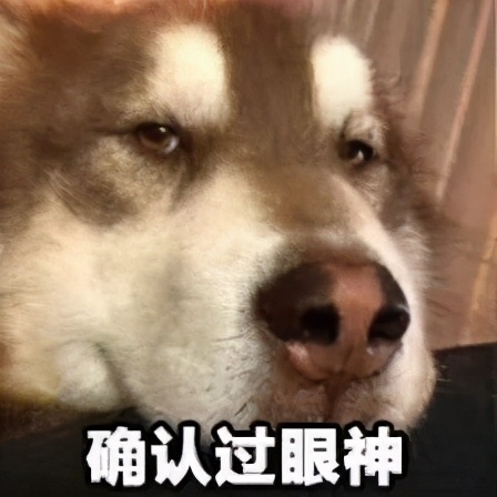 二次元只知“J佬紫”?在动漫界,你怕是要被除名