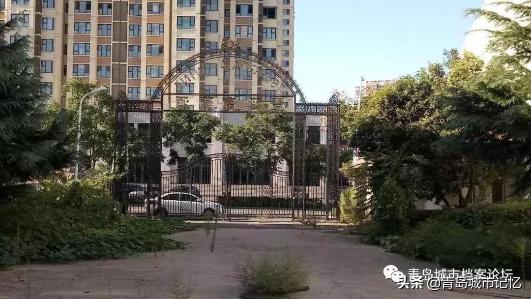 四十年前的青岛葡萄酒,青岛知名葡萄酒