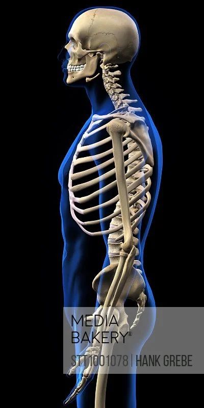 身体太厚是胖吗,身体很胖可是还是很虚是什么原因